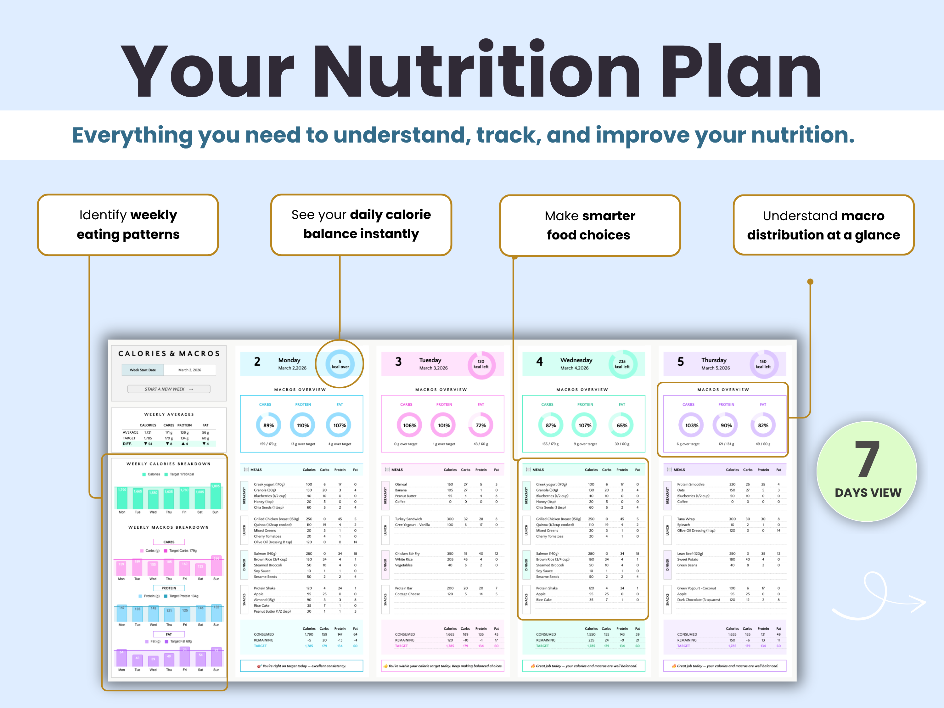 Your Nutrition Plan