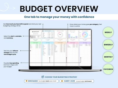 Budget overview infographic with a laptop screen displaying budgeting software on a light blue background.